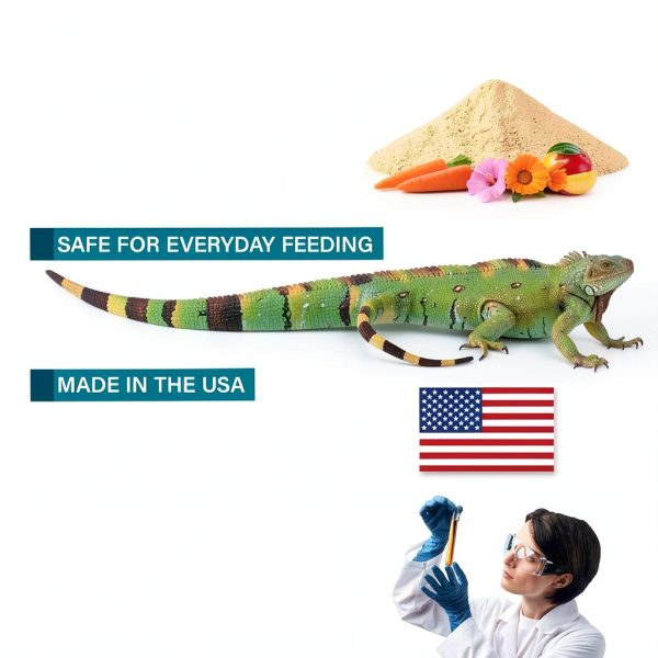 Gesy Designs Reptile Food Topper Nutrition Supplement for-5