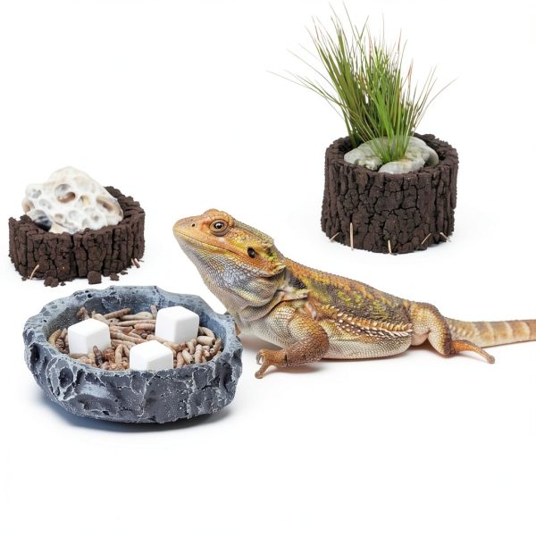 DQITJ Reptile Calcium Stones 24 Pcs Health Supplies-3