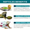 Gesy Designs Reptile Food Topper Nutrition Supplement for-3