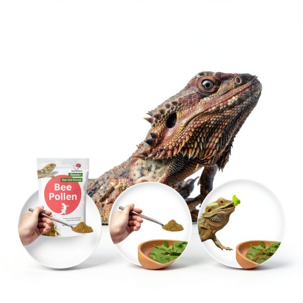Snout and Shell Bee Pollen Powder Reptile Appetite Stimulant-2