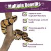 Amber NaturalZ Reptile Health Supplies Eye Mouth Parasite-1