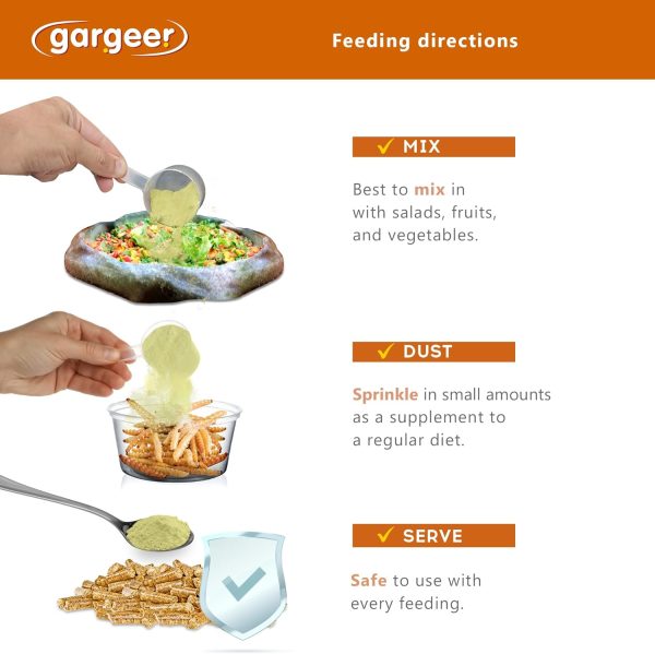 Gesy Designs Reptile Salad Topper Nutrition Supplement Pet-2