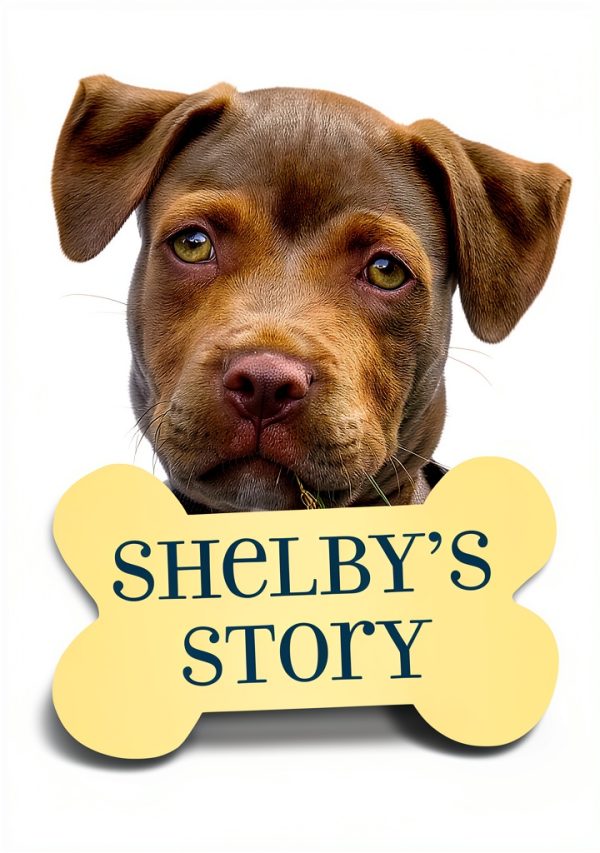 Odd Dot A Puppy Tale Childrens Book Kindle English Reading-0