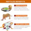 Gesy Designs Reptile Salad Topper Nutrition Supplement Pet-3