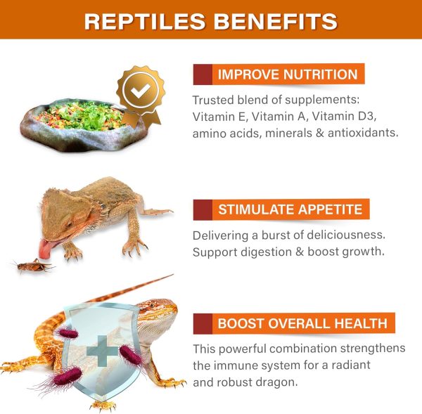 Gesy Designs Reptile Salad Topper Nutrition Supplement Pet-3